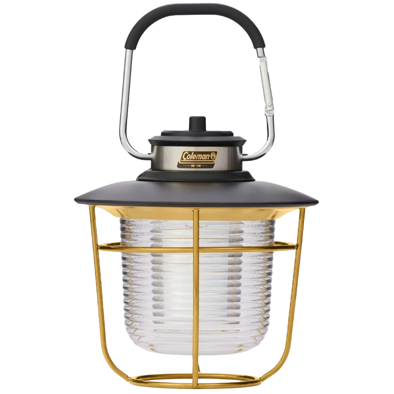 1900 Collection 200 Lumen LED Lantern