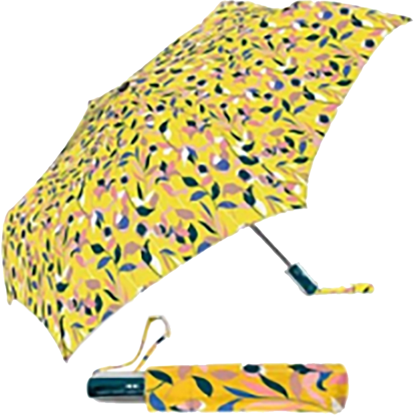 42" Rain Essentials Auto Open And Close Compact Print Umbrella