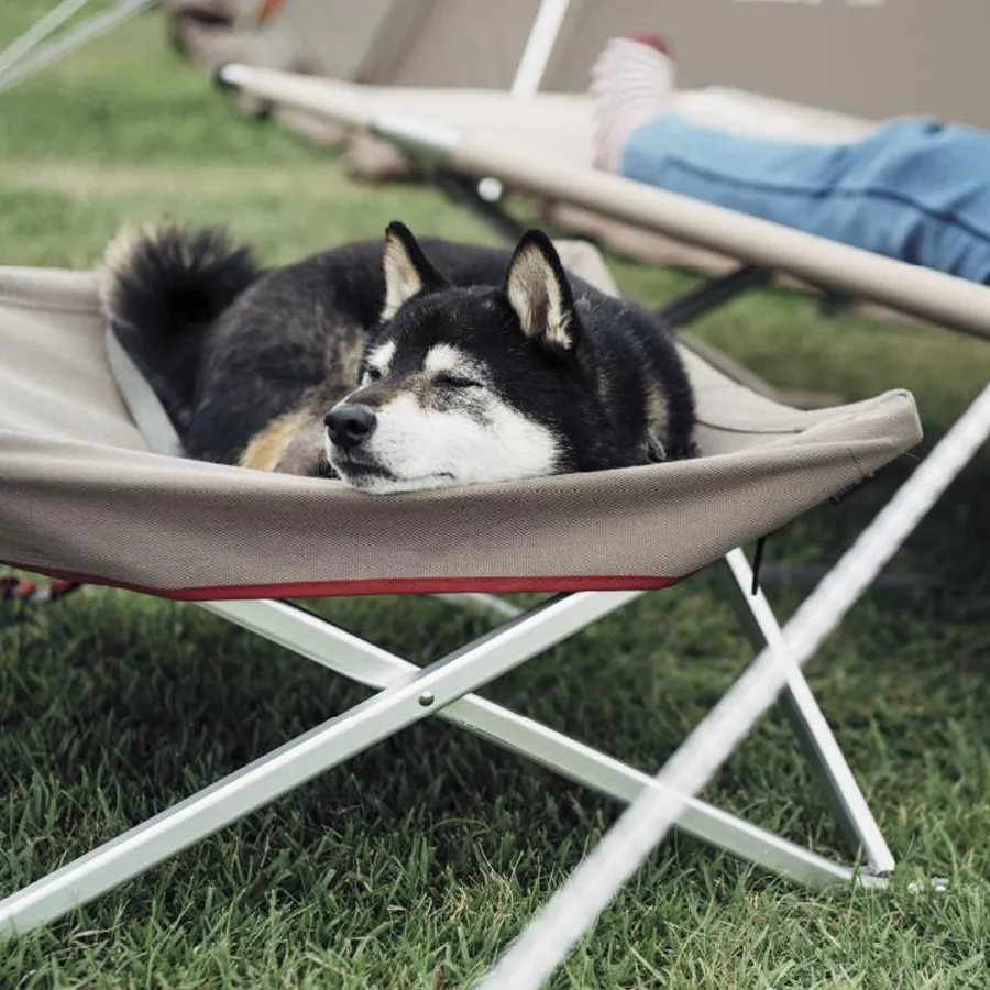Dog Cot