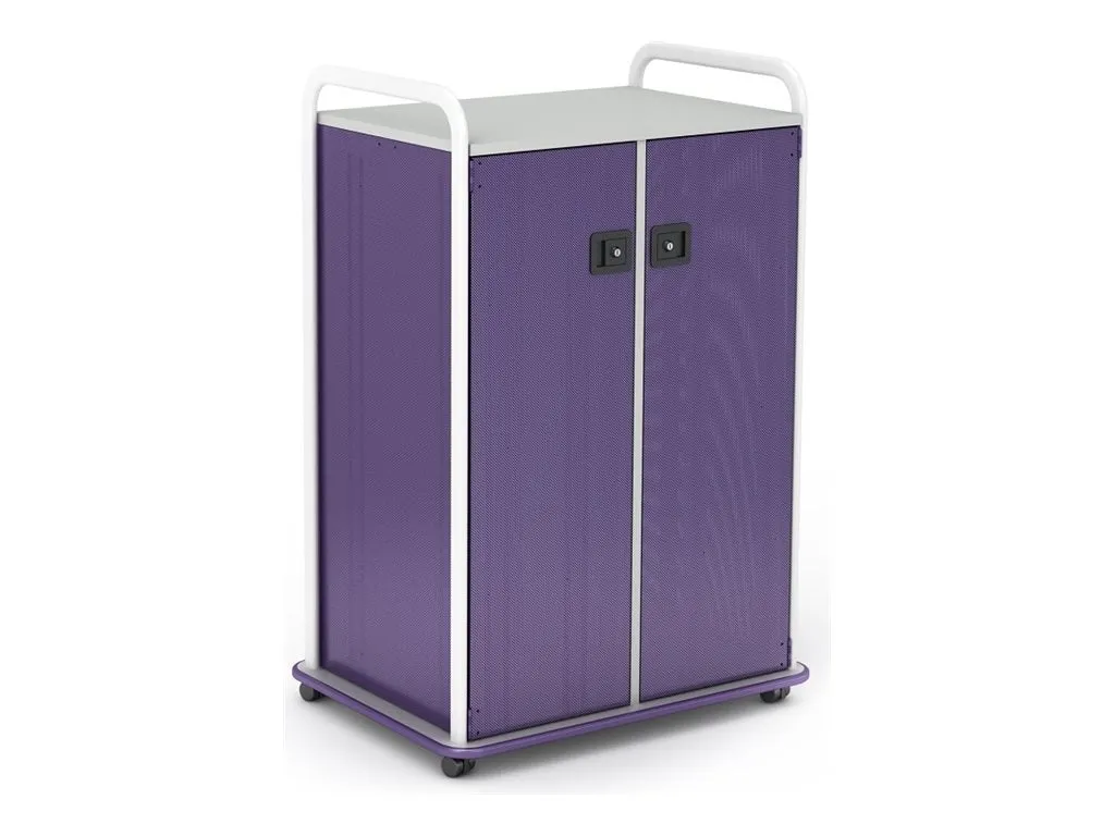 Paragon A&D Crossfit Storage - Trolley - 22 drawers - 2 doors - 16 gauge tubular steel, TFM - frost, purple, wisdom CFD42WDTOTES17-918PZP