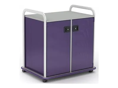 Paragon A&D Crossfit Storage - Trolley - 6 drawers - 4 shelves - 2 doors - 16 gauge tubular steel, TFM - frost, lello, wisdom CFD30WD17CO-918YZY