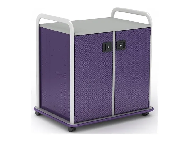 Paragon A&D Crossfit Storage - Trolley - 6 drawers - 4 shelves - 2 doors - 16 gauge tubular steel, TFM - frost, lello, wisdom CFD30WD17CO-918YZY